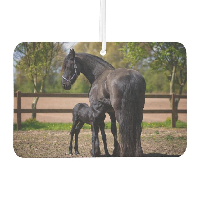 Momma und Baby Horse Autolufterfrischer (Vorderseite)
