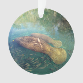 Momma und Baby Manatee - Acrylschmuck Ornament