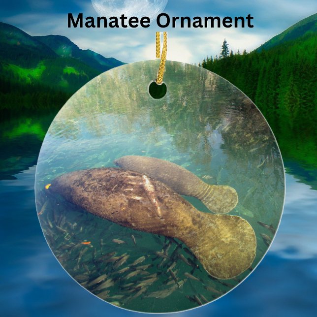 Momma und Baby Manatee Keramik/Porzellan Ornament (Von Creator hochgeladen)