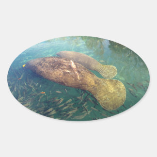 Momma und Baby Manateure Stickers