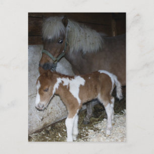 Momma und Baby Postkarte