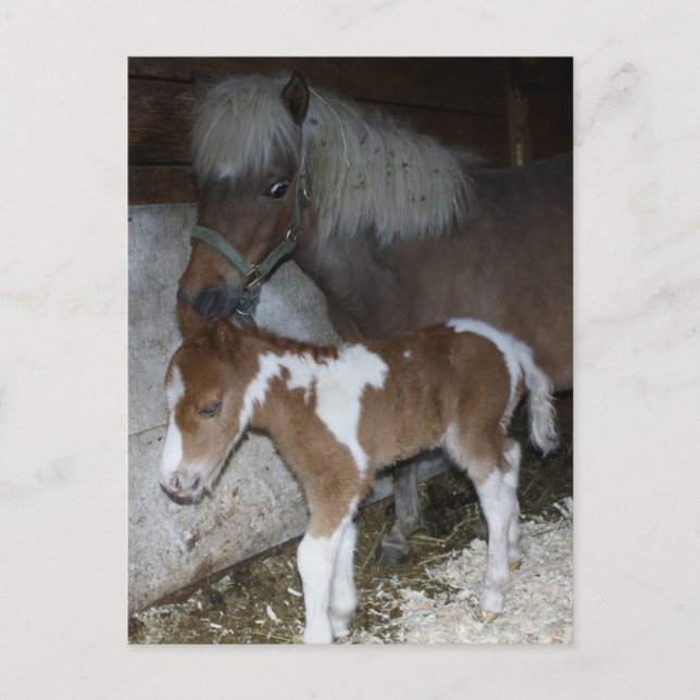 Momma und Baby Postkarte (Vorderseite)