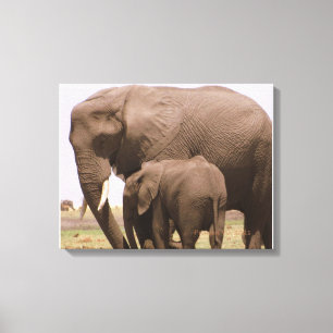 Mommy and Baby Elephant Leinwanddruck