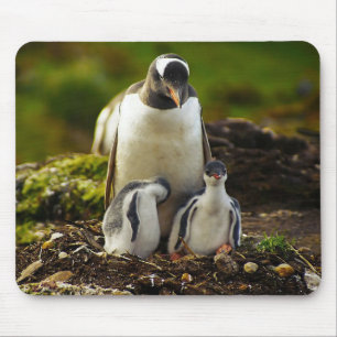 Mommy Penguin und Babys Mousepad