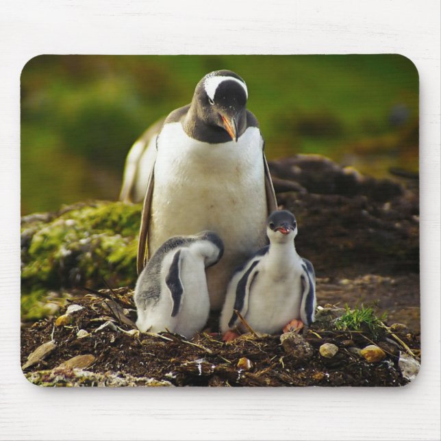Mommy Penguin und Babys Mousepad (Vorne)