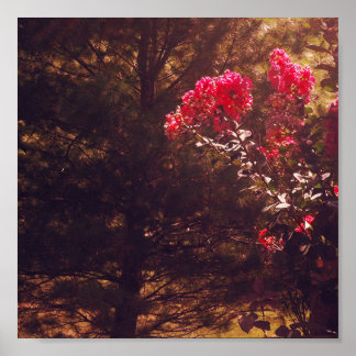 Mom's Garden Print Poster