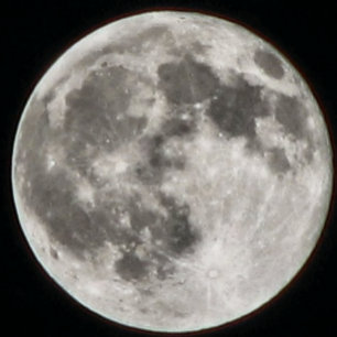 MOMZMOON RUNDES KISSEN