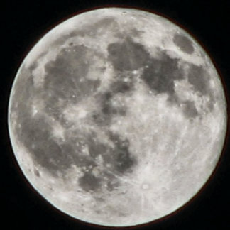MOMZMOON RUNDES KISSEN