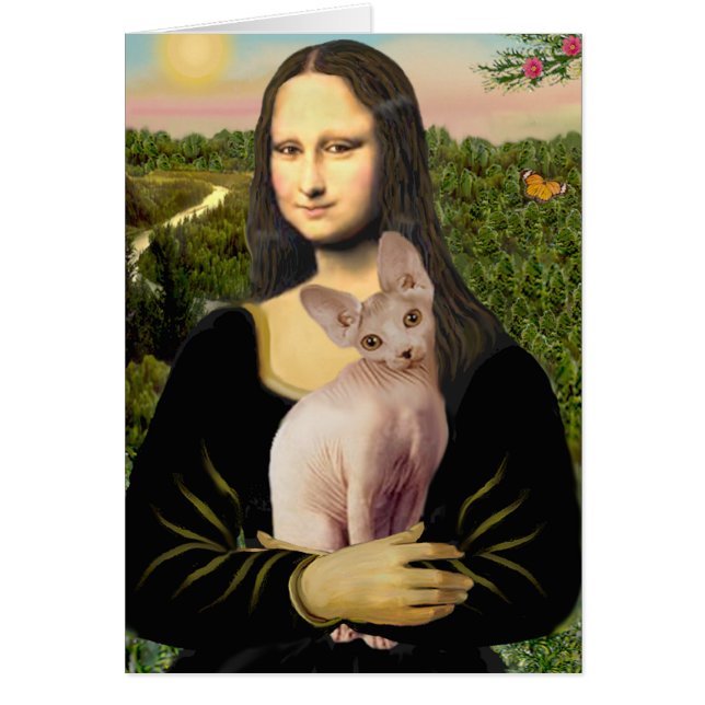 Mona Lisa - Cream Sphynx cat (Vorne)