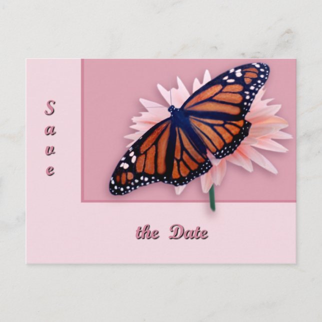 Monarch Ankündigungspostkarte (Vorderseite)