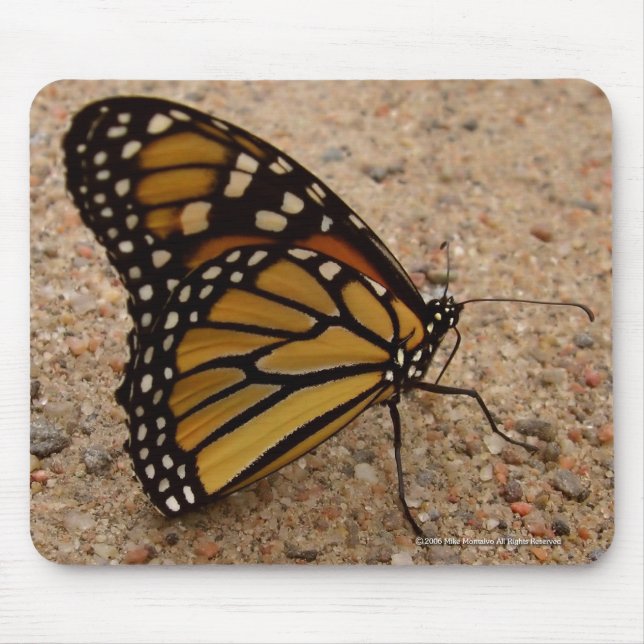 Monarch auf der Straße Mousepad (Vorne)
