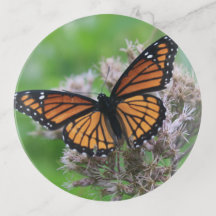 Monarch auf Distel-Schmuckablage