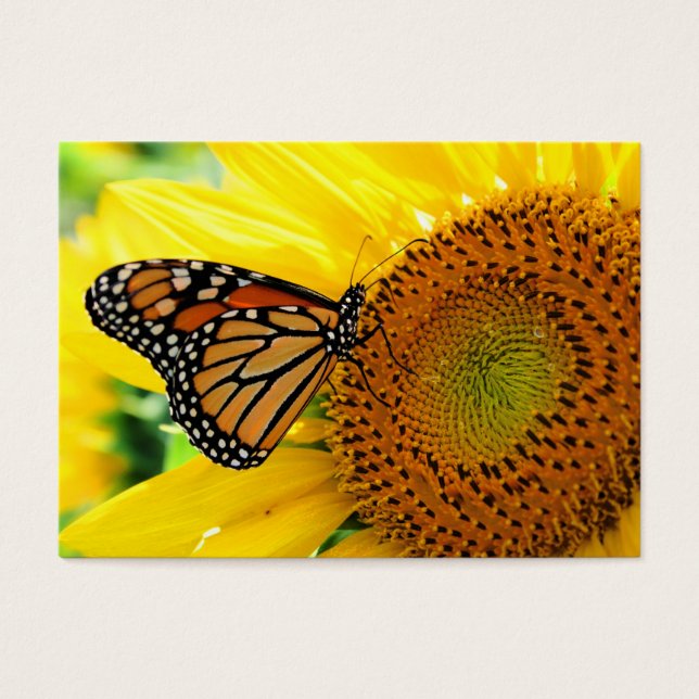 Monarch auf einer Sonnenblume, Visitenkarte (Vorderseite)