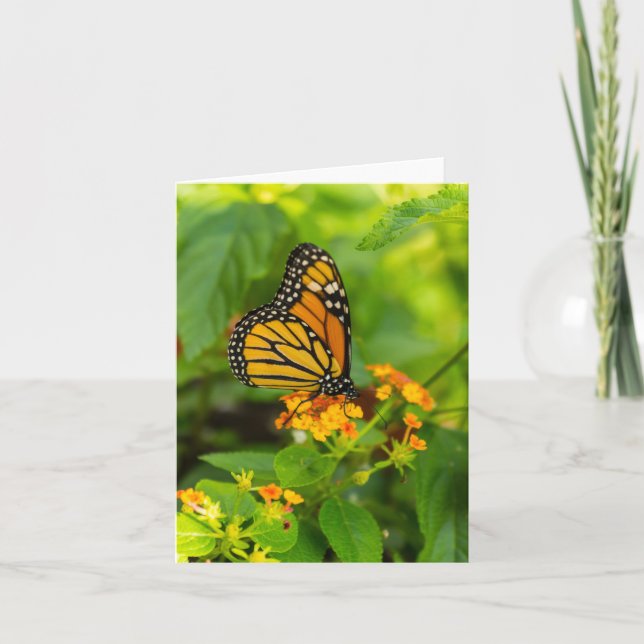 Monarch auf Lantana Karte (Vorderseite)