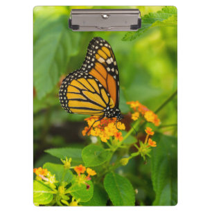 Monarch auf Lantana Klemmbrett