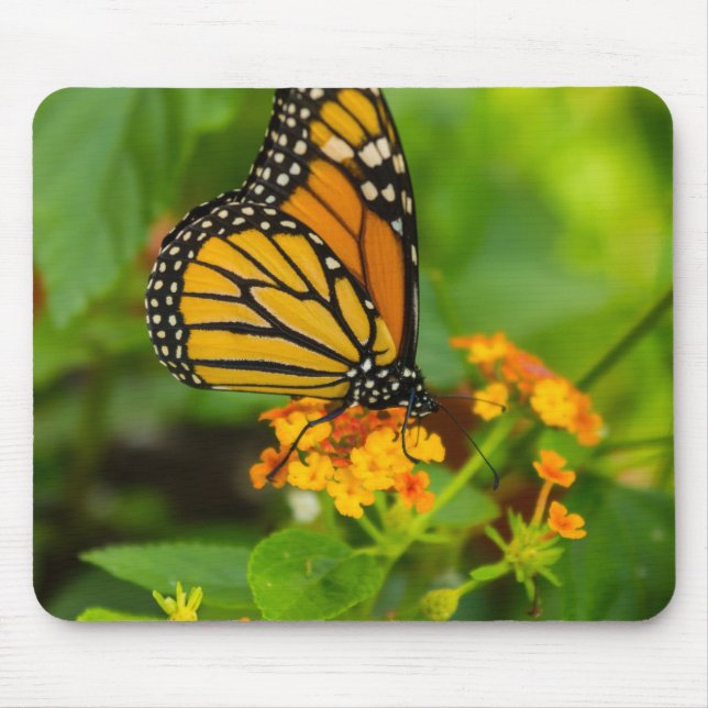 Monarch auf Lantana Mousepad (Vorne)