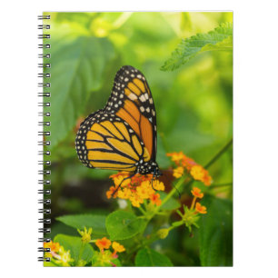 Monarch auf Lantana Notizblock