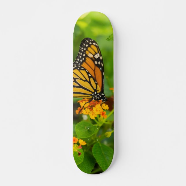Monarch auf Lantana Skateboard (Vorne)