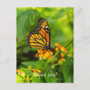 Monarch auf Lantana Vielen Dank Postkarte