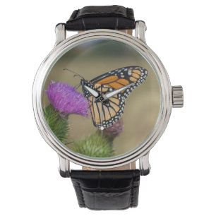 Monarch auf Weide-Distel Prairie Ridge Armbanduhr