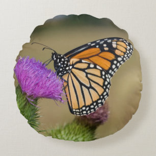 Monarch auf Weide Distel Prairie Ridge Rundes Kissen