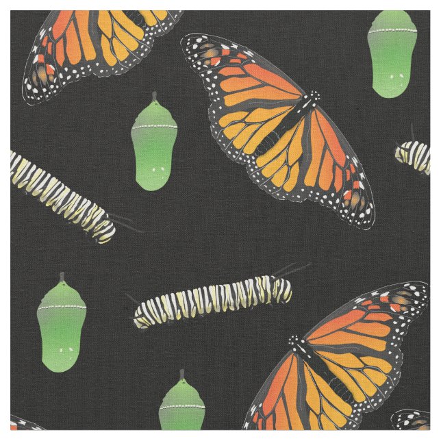 Monarch Butterfells Raupen Stoff (Nahaufnahme)