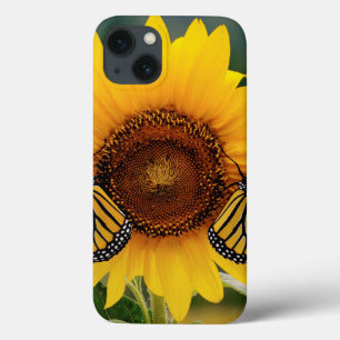 Monarch Butterfies auf Sonnenblume iPhone 13 Hülle