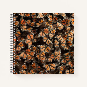 Monarch Butterfliegen Notizbuch