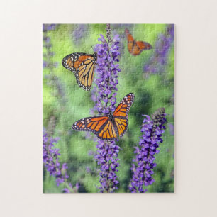 Monarch Butterfliegen Puzzle