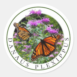 Monarch Butterfliegen und Bee Balm Monarda Runder Aufkleber