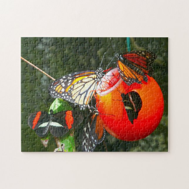 Monarch Butterflies Kanada. Puzzle (Horizontal)