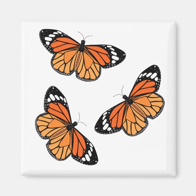 Monarch Butterflies Magnete (Vorne)