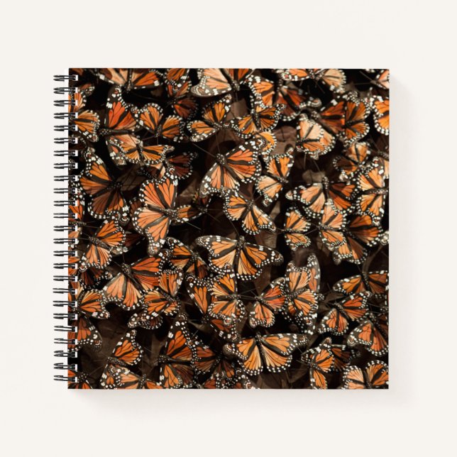 Monarch Butterflies Notizbuch (Vorderseite)