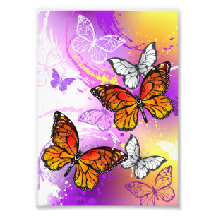 Monarch Butterflies on Purple Background Fotodruck
