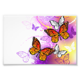 Monarch Butterflies on Purple Background Fotodruck