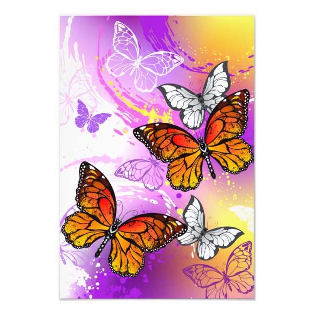 Monarch Butterflies on Purple Background Fotodruck (Vorne)