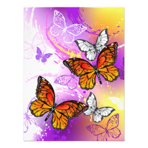 Monarch Butterflies on Purple Background Fotodruck