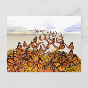 Monarch Butterflies Postkarte