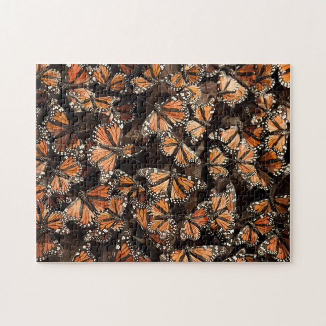 Monarch Butterflies Puzzle (Horizontal)