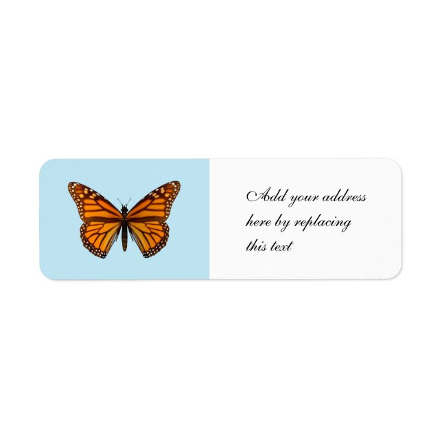Monarch Butterfly (Vorne)
