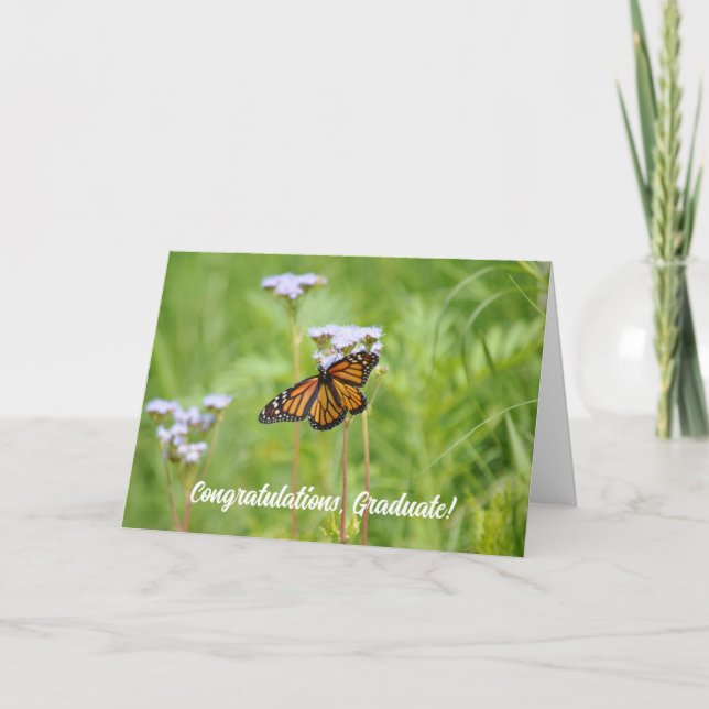 Monarch Butterfly-Abschluss Karte (Vorderseite)