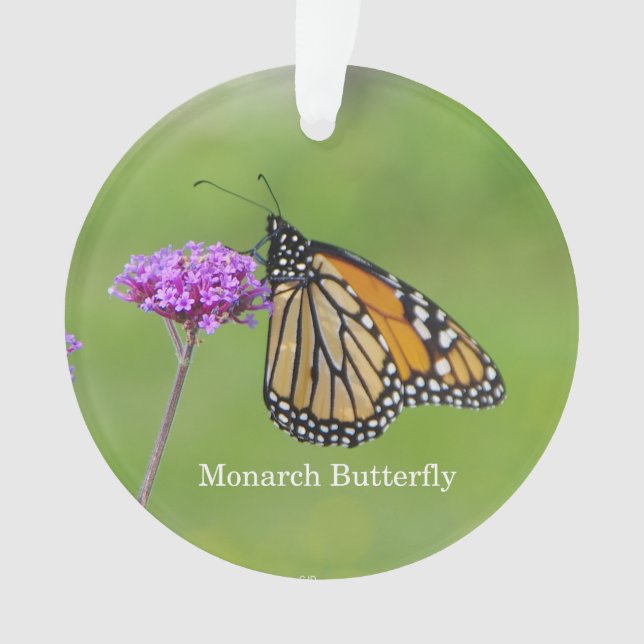 Monarch Butterfly-Acrylschmuck Ornament (Vorderseite)