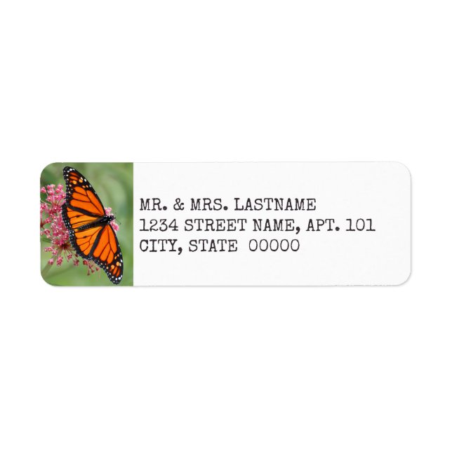 Monarch Butterfly Address Labels (Vorne)