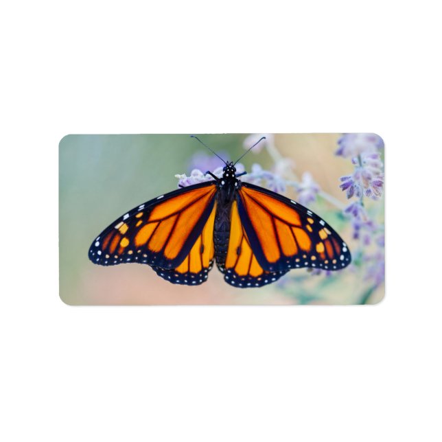 Monarch Butterfly Adressaufkleber (Vorne)