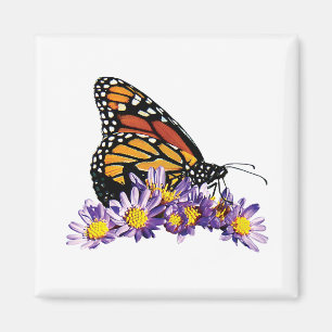 Monarch Butterfly auf Aster Magnet