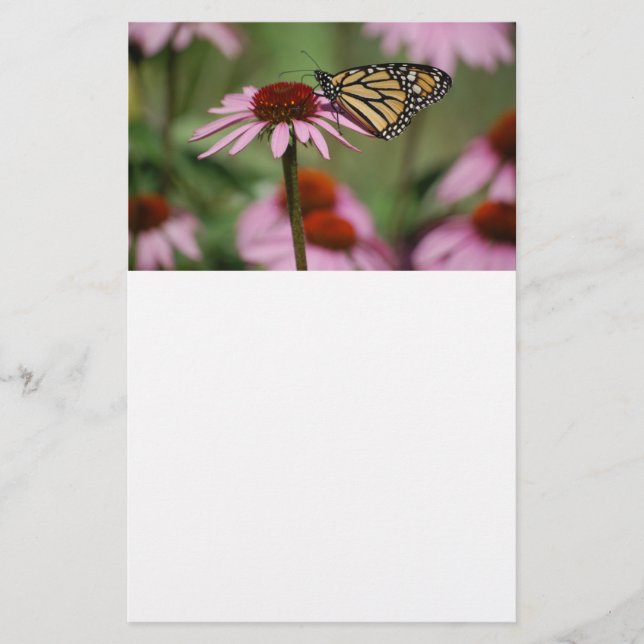 Monarch Butterfly auf Blume Briefpapier (Vorderseite)