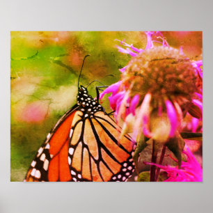 Monarch Butterfly Auf Blume gestörte Kunst Poster