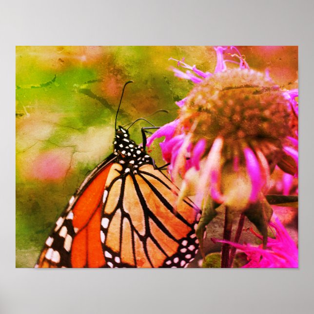 Monarch Butterfly Auf Blume gestörte Kunst Poster (Vorne)