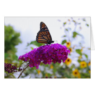 Monarch Butterfly auf Butterfly Bush Card