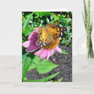 Monarch Butterfly auf der Blume Echinacea Karte